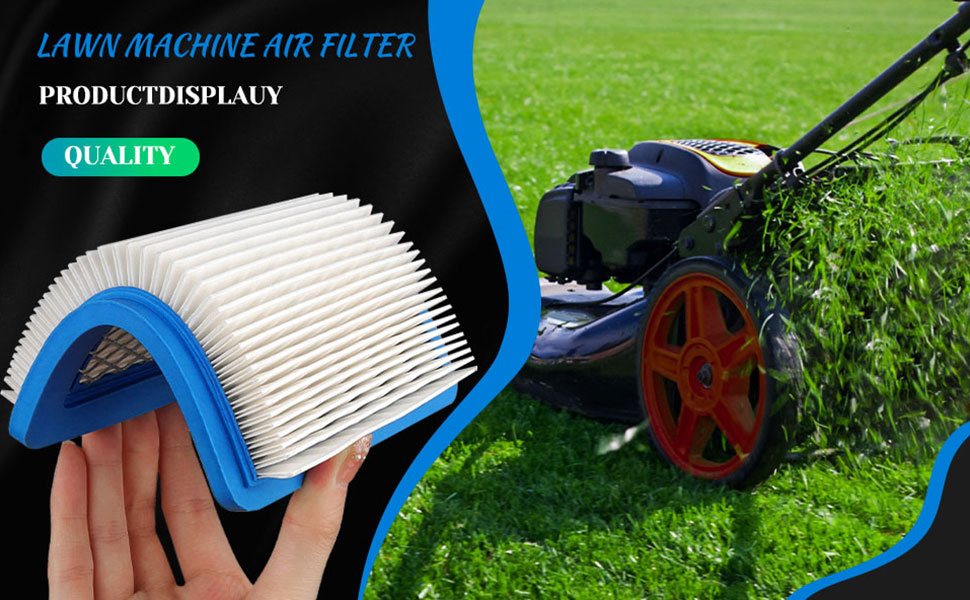 Briggs and Stratton Air Filter
