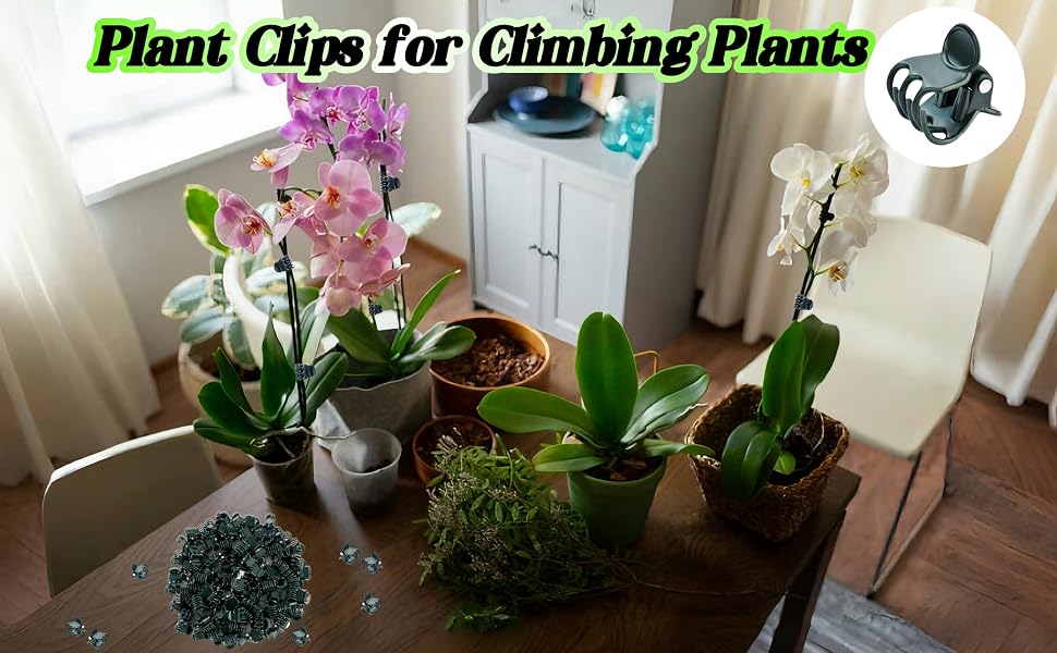 Several potted orchids and plants on a wooden surface, with text 'Plant Clips for Climbing Plants' overlaid. Small plant clips visible near the pots.