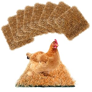 Ein Huhn liegt auf einem Heuhaufen.
