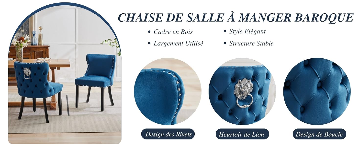Chaise de Salle à Manger Lot de 4