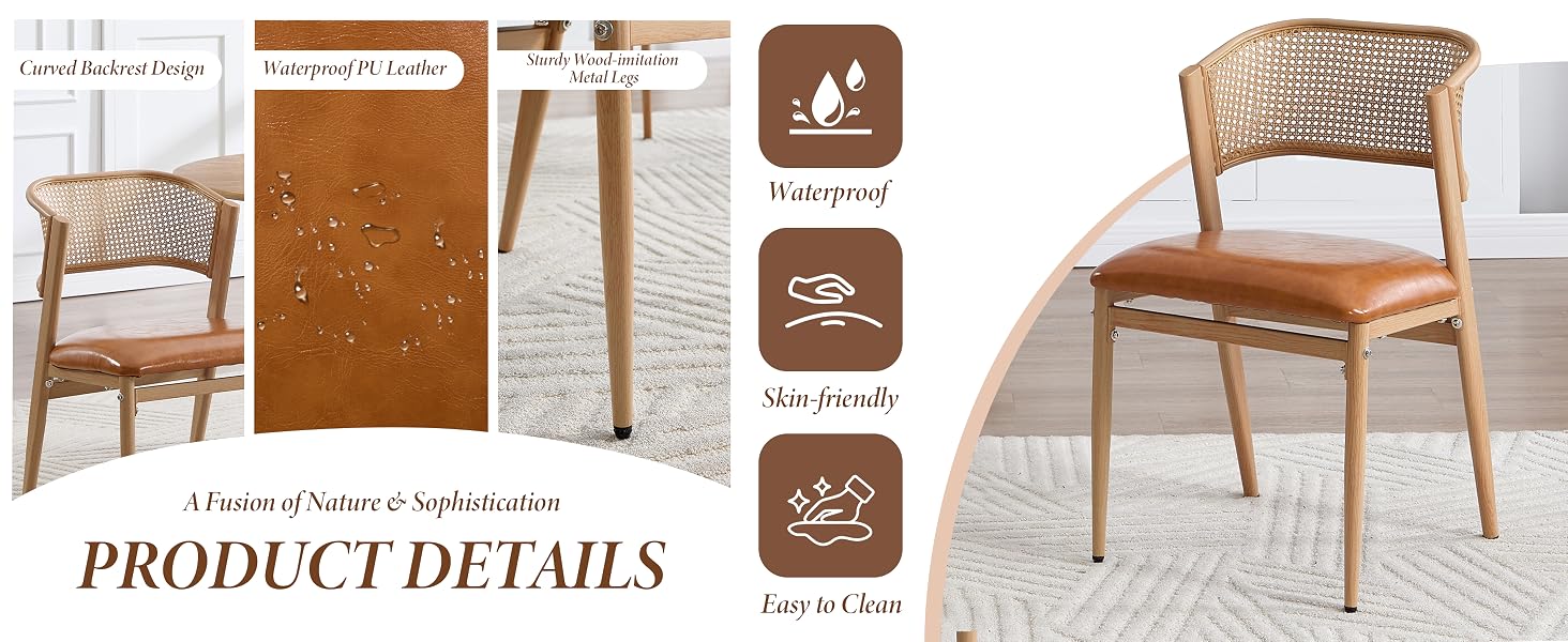 Text reads 'PRODUCT DETAILS'. Modern dining chair product details showing woven rattan backrest, wooden frame construction, and multiple icon indicators for features.