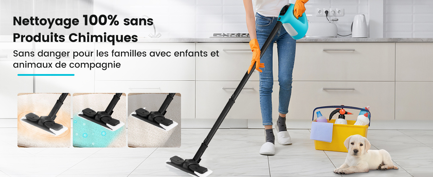 Nettoyeur Vapeur Portatif
