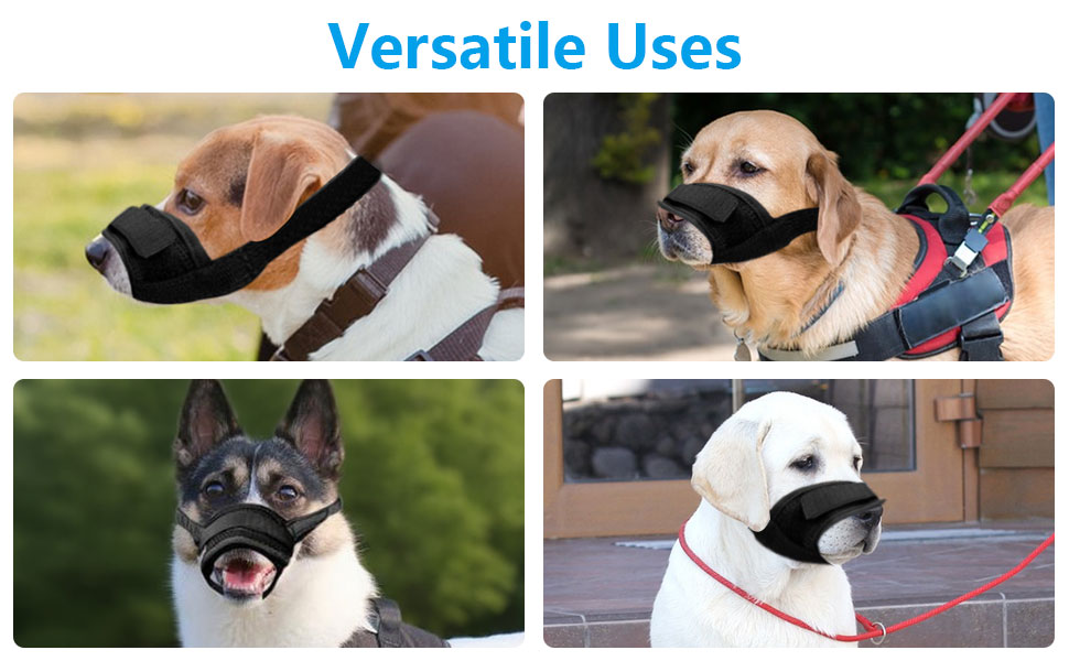 Text reads 'Versatile Uses'. Four-panel image showing dogs wearing protective muzzles during various activities outdoors.