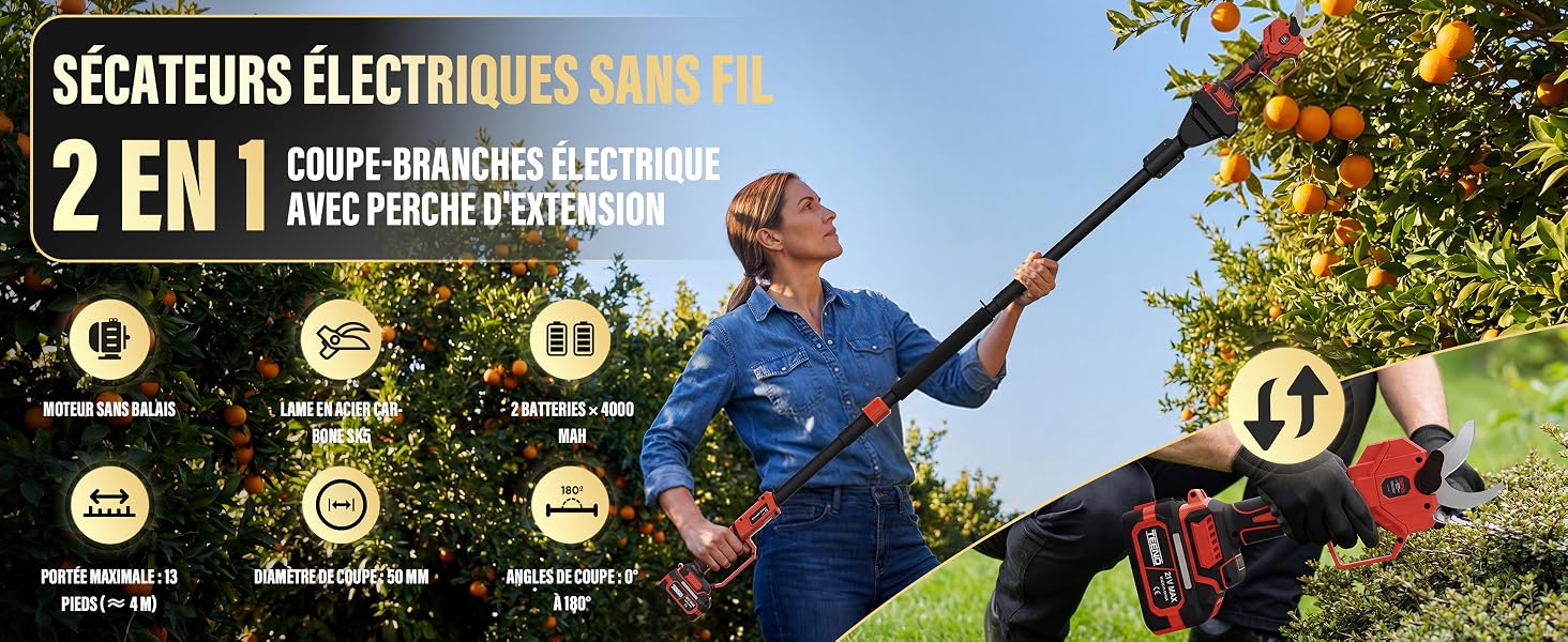 Le texte indique « SÉCATEURS ÉLECTRIQUES SANS FIL » et « 2 EN 1 ». Affichage marketing montrant des sécateurs électriques avec des icônes caractéristiques et des démonstrations d'utilisation en extérieur.