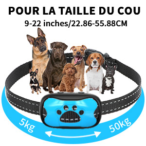 collier anti aboiement