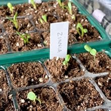 Bol à légumes avec couvercle