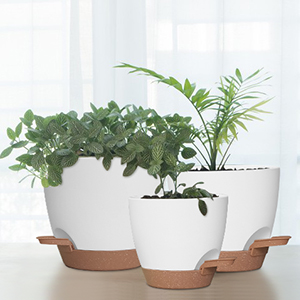 pot de fleur haut