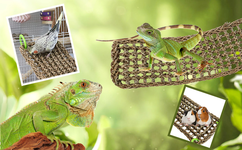Bird Seagrass Mat