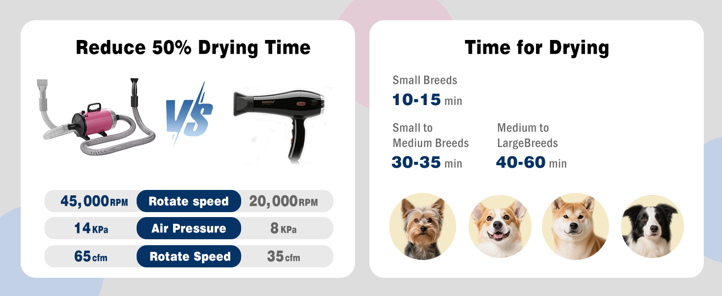 Le texte indique les plages de temps de séchage « 10-15 », « 20-25 », « 40-60 ». Tableau comparant les temps de séchage des animaux de compagnie avec des illustrations de différentes races de chiens.