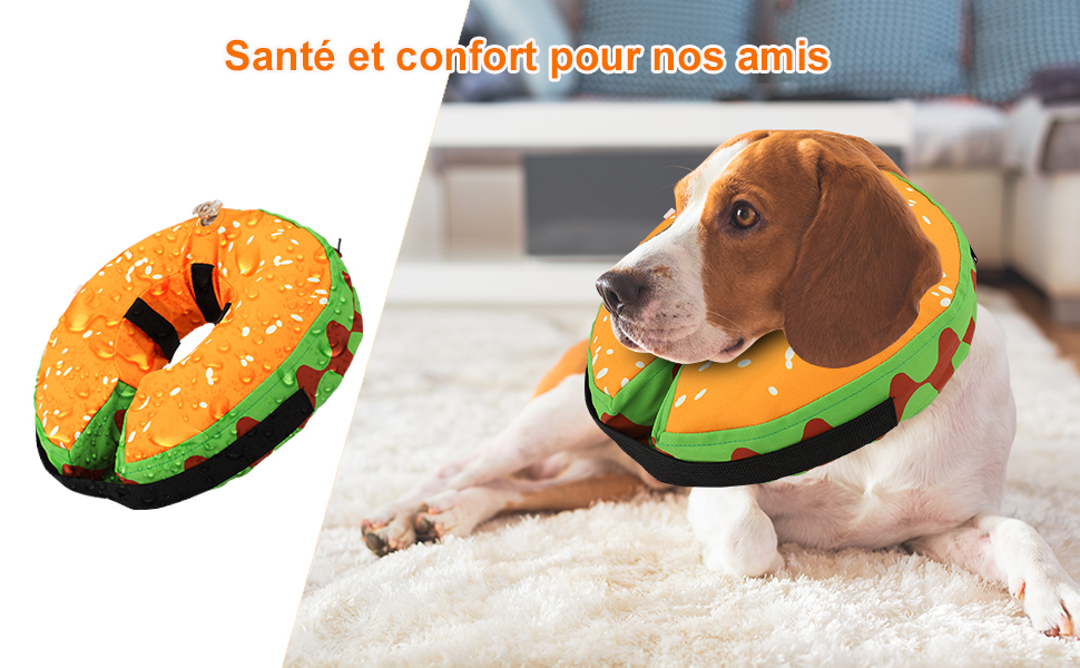 Collier réglable pour chien, accessoires pour animaux de compagnie, après  la propor, confortable, protection des plaies