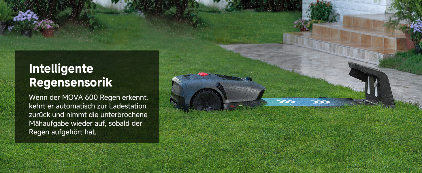 Regensensorik