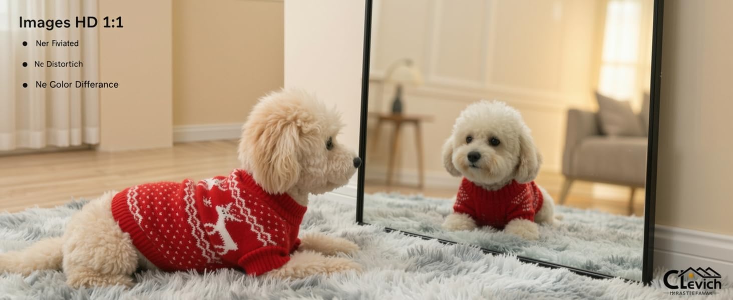 Three images showing small white dogs wearing red knitted sweaters on beige carpet or floor.