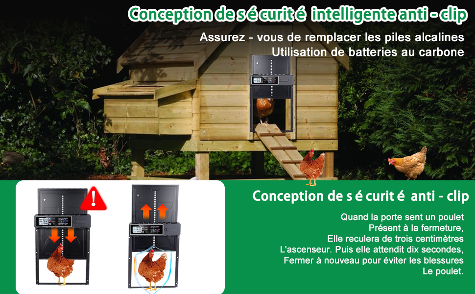 Chicken coop door