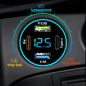 Cargador de coche USB LaBlanc