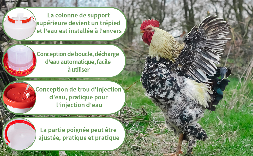 mangeoire poules anti nuisible