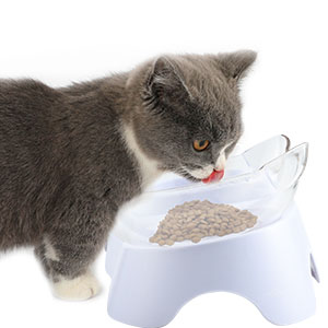 bol pour chat