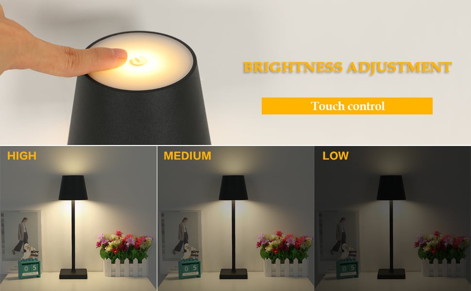 Maxter Lampe de Bureau LED Sans Fil Rechargeable 360° Lampe de Chevet et  Lecture (6W, 550 Lumen, Port USB, 5 Niveaux de Luminosité et de Couleur,  Minuterie 30/60 min) : : Luminaires et Éclairage