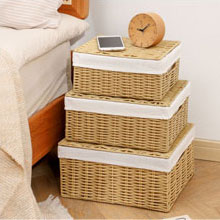 Storage Bins with Lids 