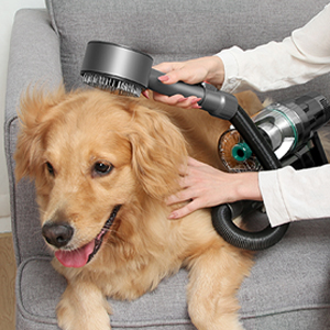 aspiradora para mascotas