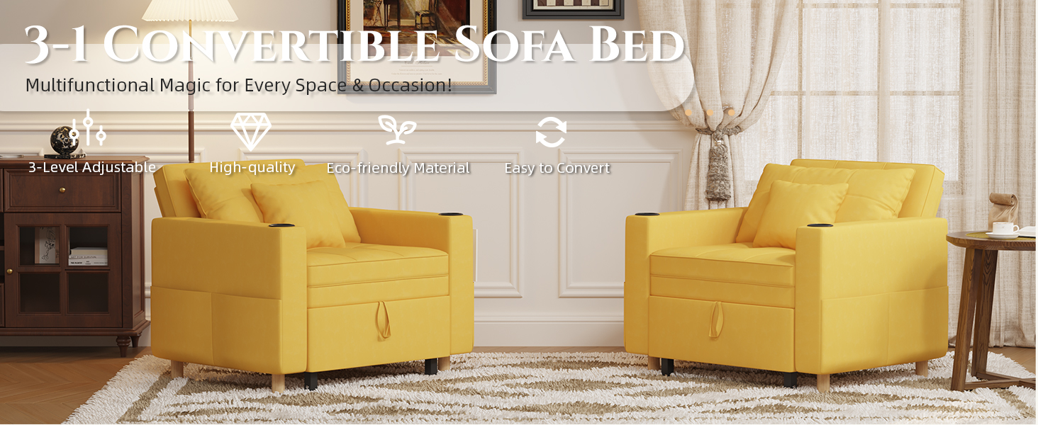 sleeper sofa bed