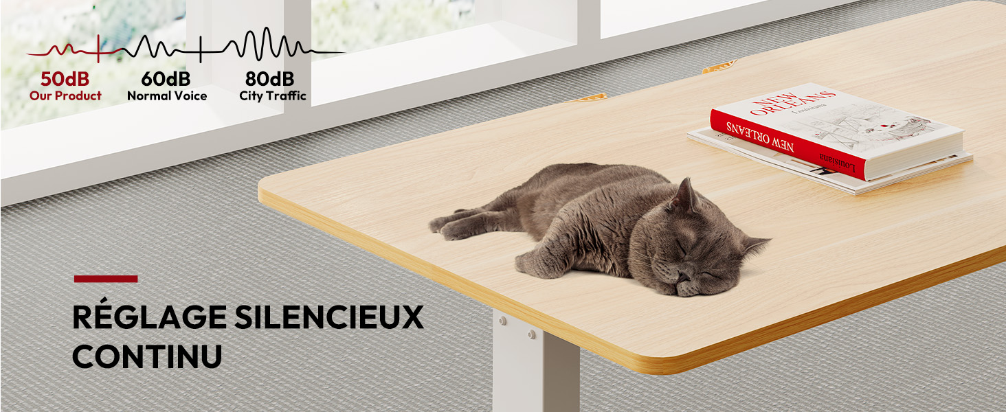 Bureau réglable en hauteur avec chat gris dormant sur une surface en bois. Le graphique montre les niveaux de bruit. Le texte indique « Réglage du silence continu » en français.