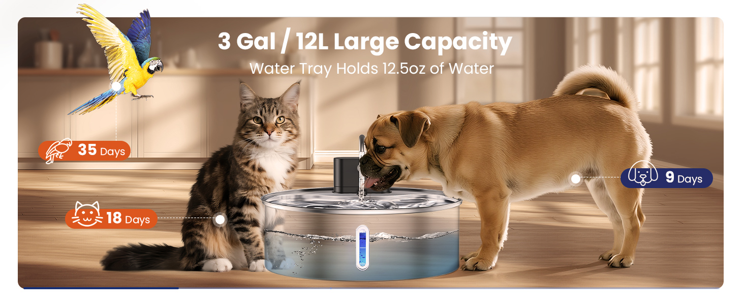 water fountain