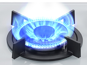 aplus content image