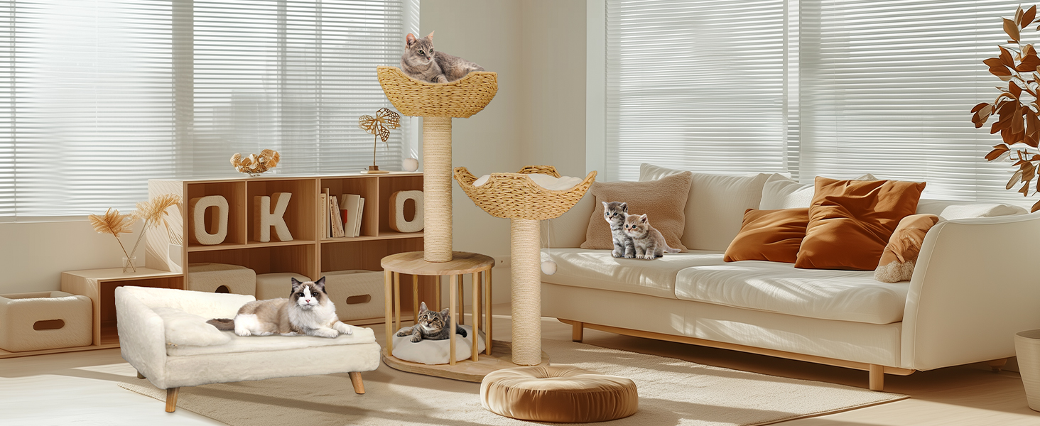 tiragraffi per gatti adulti tiragraffi gatto torre per gatti albero tiragraffi per gatti adulti