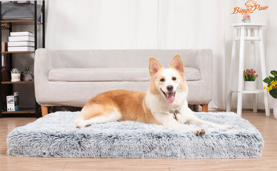 lit chien grande taille orthopedique impermeable mousse de mémoire apaisant matelas chien