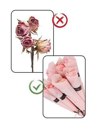 Comparison of flower arrangements. Left: wilted roses marked incorrect. Right: fresh pink roses in protective packaging marked correct.