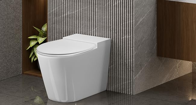 the toilet is a modern design with a modern design