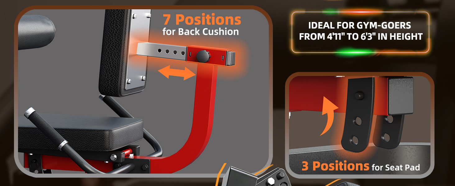 Leg Extension and Curl Workout Machine