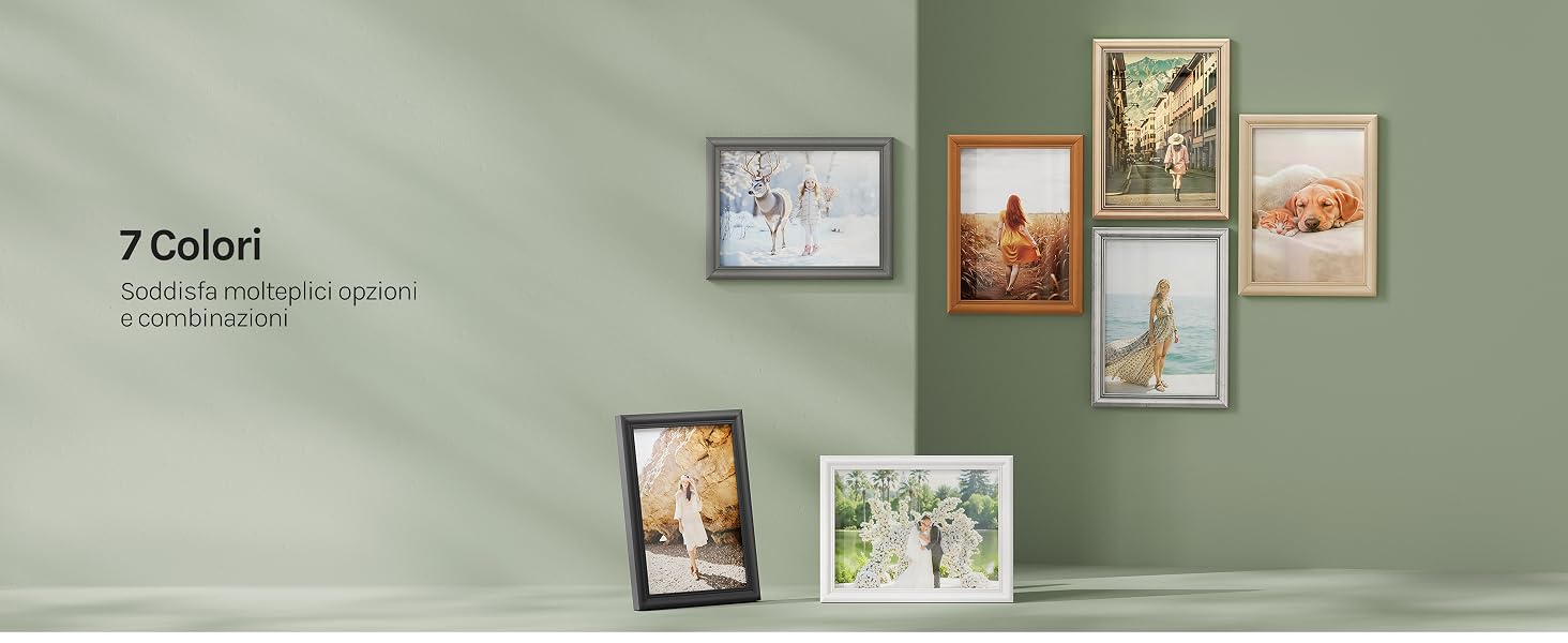 Il testo recita «7 Colori» e «Tappeti, Quadri, Art.». Espositore da parete da galleria che mostra opere d'arte incorniciate e stampe di varie dimensioni disposte su una parete verde salvia.