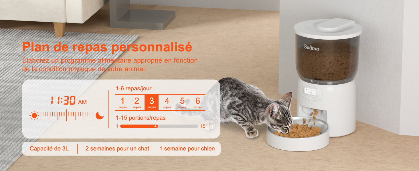 distributore automatico di cibo per gatti