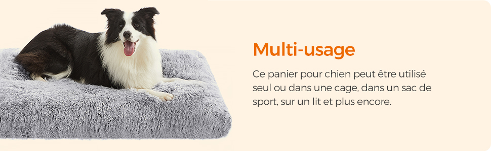 Panier pour chien