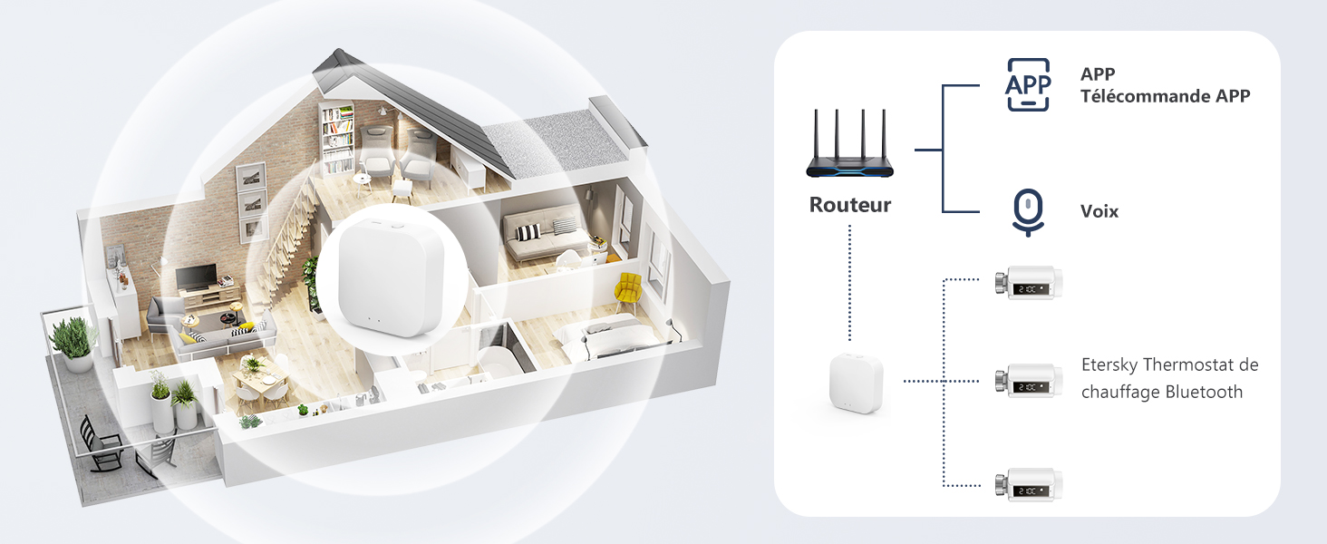 vanne thermostatique programmable