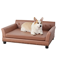 BingoPaw sofa perro