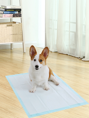 Tapis éducateur FEANDREA