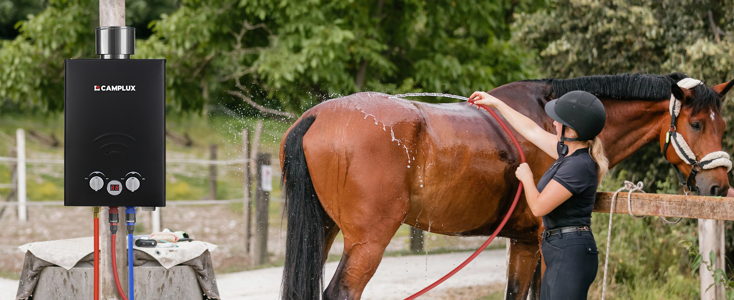 Lavado de Caballos