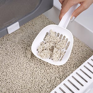 taille tamis et couvercle chaton bois tapis de litière auto-pack self-cleaning litter box