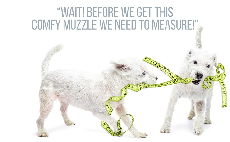 measure