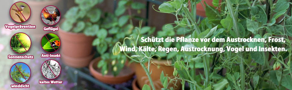 Winterschutz für Pflanzen
