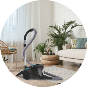 aspirateur sac hoover compatible