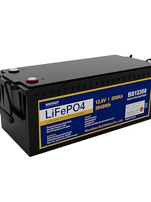 LiFePO4 Akku 48V 80Ah 3840Wh 100A Lithium-Eisen-Phosphat Batterie für