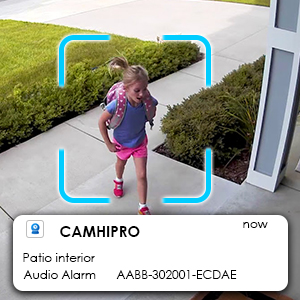 Motion detection and app notification