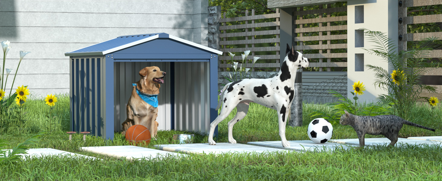 dans un jardin.
[SENTENCE 11] Un gros chien et un petit chien sont visibles près de la maison, avec un ballon de football.