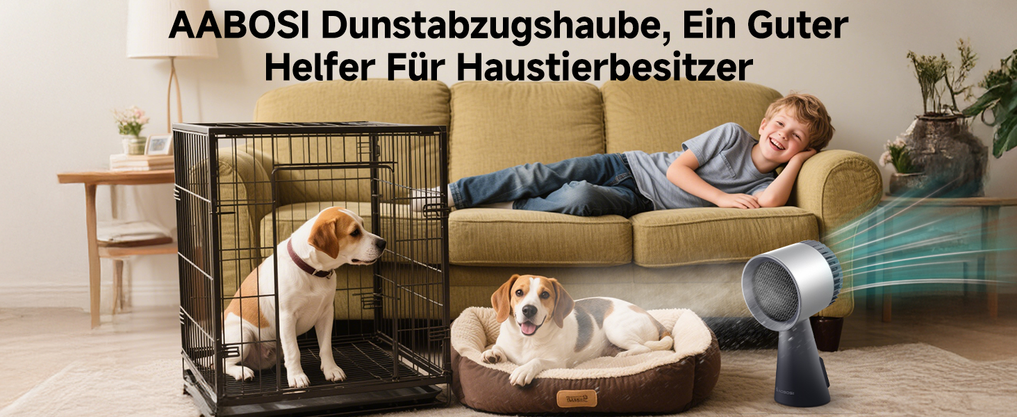 Wohnzimmerszene mit Hundebox, Haustierbett und flügellosem Ventilator. Zwei Hunde sichtbar, einer in der Kiste, einer auf dem Bett. Person, die im Hintergrund auf der Couch ruht