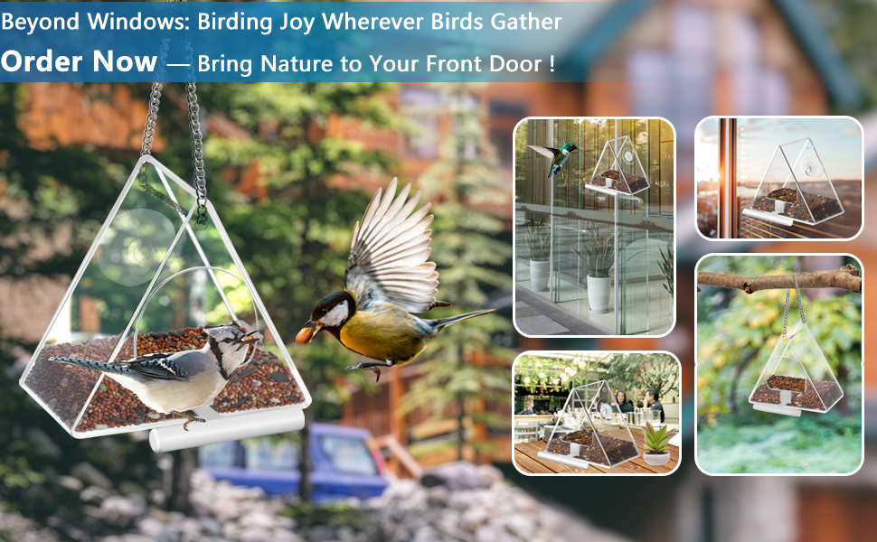 suction cup bird feeder window