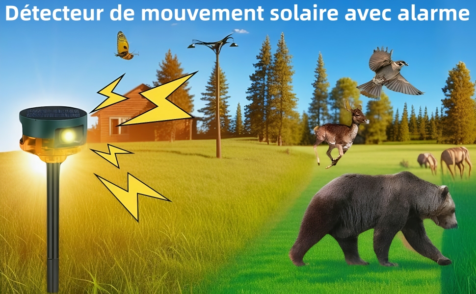 Le texte indique « Détecteur de mouvement solaire avec alarme ».