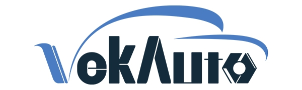 Standard Company Logo